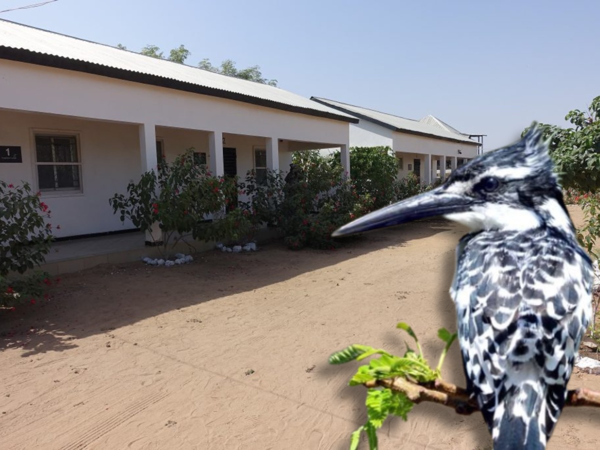 Morgan Kunda Lodge Featured Gamrealty Gambia